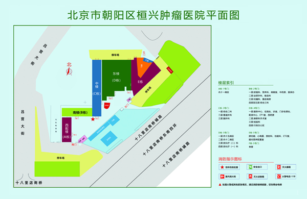 老太婆屄里好想要快用力插北京市朝阳区桓兴肿瘤医院平面图